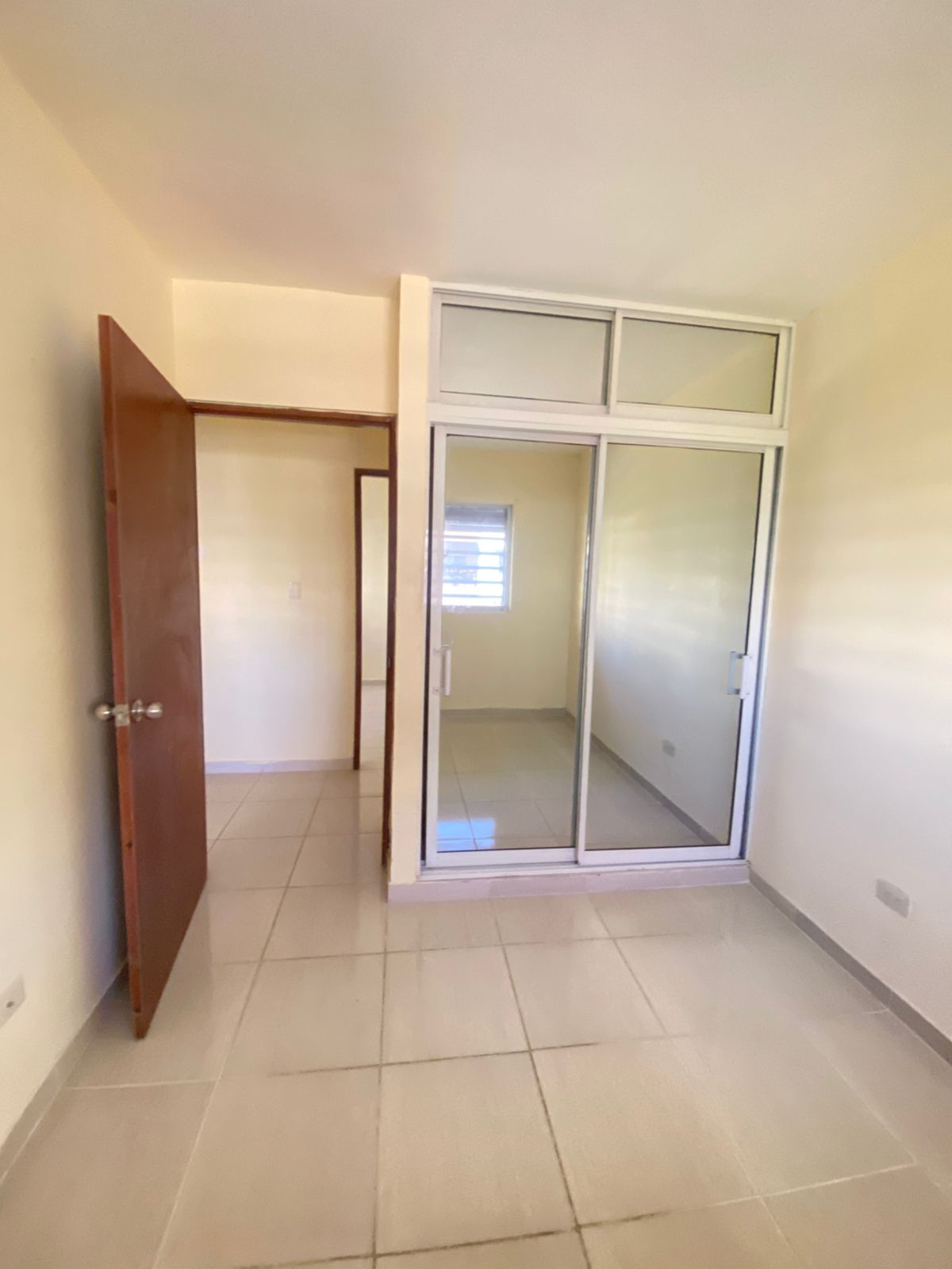 Labrador San isidro 4