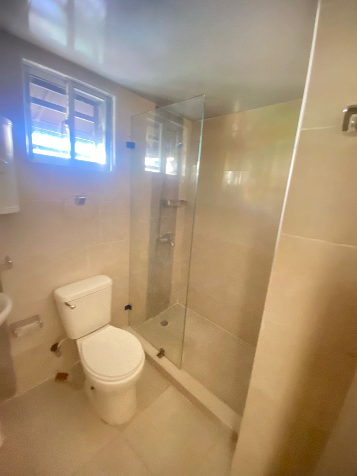 Labrador San isidro 3