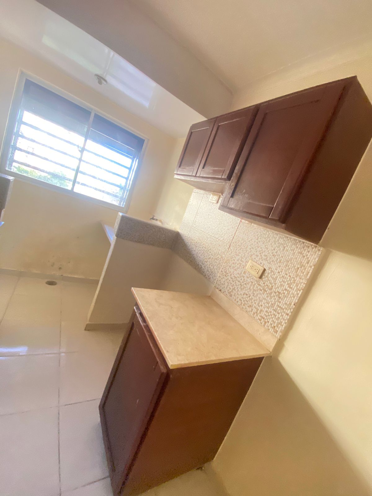 Labrador San isidro 2