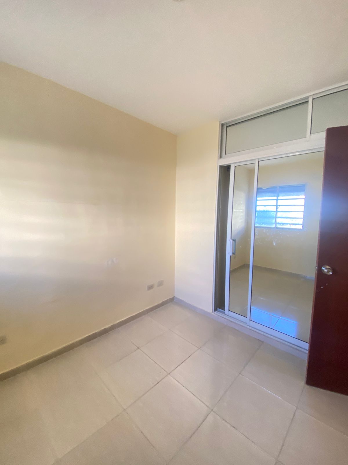 Labrador San isidro 1